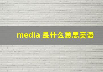 media 是什么意思英语